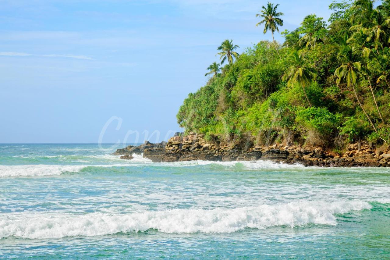 Grand Conch Villa Tangalle Ngoại thất bức ảnh